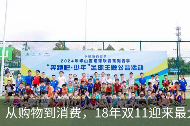 从购物到消费，18年双11迎来最大一次跃迁
