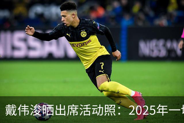 戴伟浚晒出席活动照：2025年一切顺利！